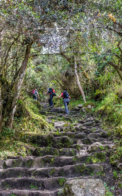 beautiful-path-on-inca-trail